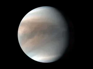Venus - Glanz am Abendhimmel